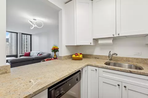 100 E Walton St #36E, Chicago, IL 60611 photo 6