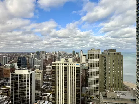 100 E Walton St #36E, Chicago, IL 60611 photo 19