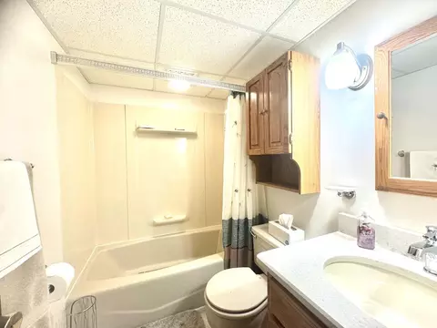 Bath - 259 Walnut Ln, Crown Point, IN 46307 photo 3 of 3
