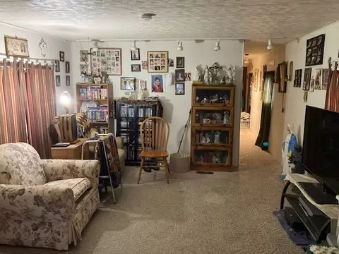302 Oak St, Braidwood, IL 60408 photo 3