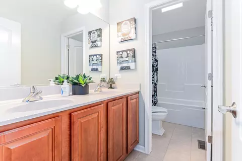 Bath - 26000 W Chatham Dr, Plainfield, IL 60585 photo 4 of 5