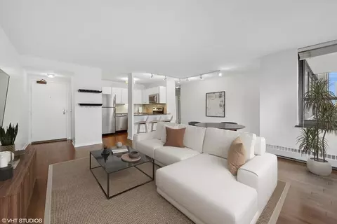 33 E Cedar St #17E, Chicago, IL 60611 photo 3