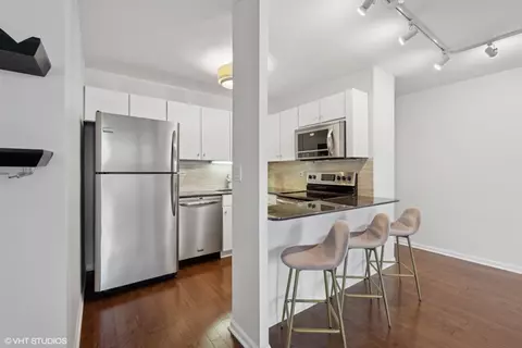33 E Cedar St #17E, Chicago, IL 60611 photo 4