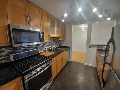 5001 Carriageway Dr #A202, Rolling Meadows, IL 60008 photo 4