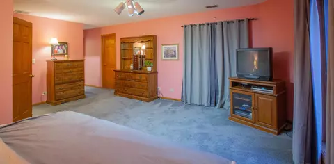 989 La Costa Ave, Bartlett, IL 60103 photo 31