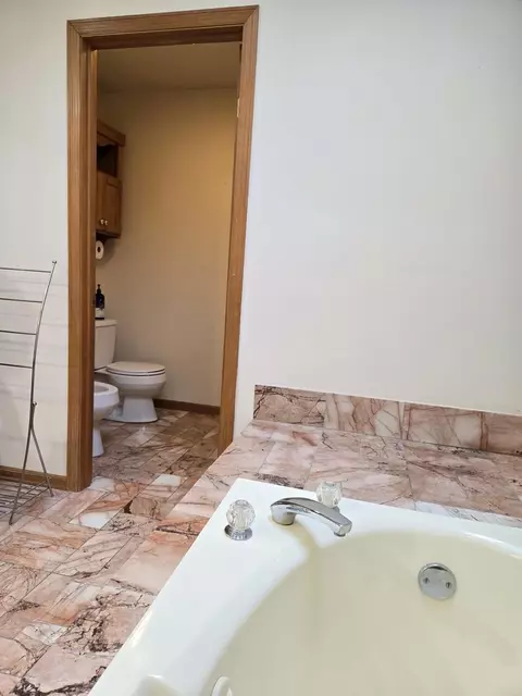 989 La Costa Ave, Bartlett, IL 60103 photo 28