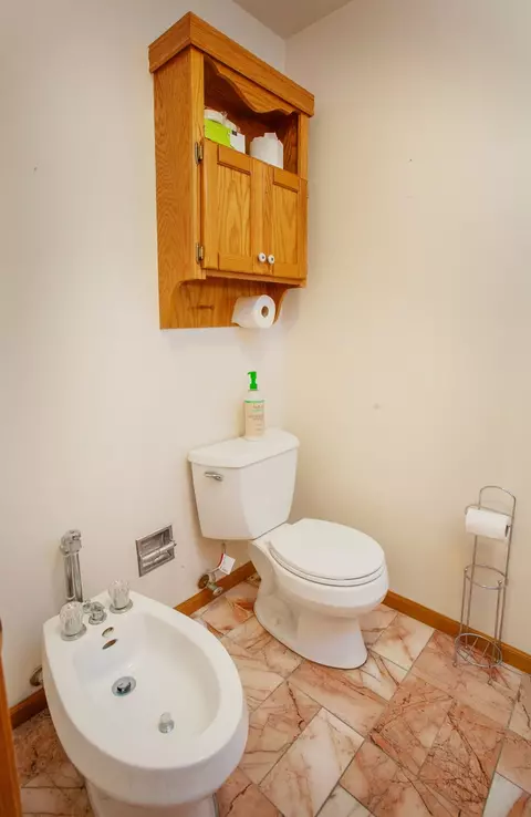 989 La Costa Ave, Bartlett, IL 60103 photo 29