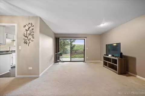 29 Creekside Cir #B, Elgin, IL 60123 photo 3