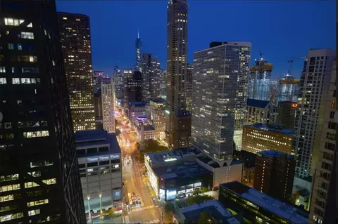 View/Area - 159 E Walton St #33A, Chicago, IL 60611 photo 4 of 6