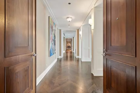Entry Way - 159 E Walton St #33A, Chicago, IL 60611 photo 2 of 3