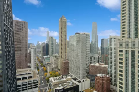 View/Area - 159 E Walton St #33A, Chicago, IL 60611 photo 3 of 6