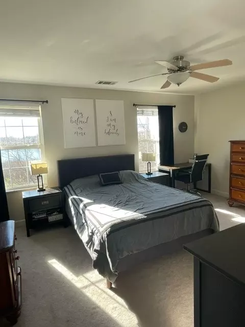 4122 Oak Tree Ln, Plainfield, IL 60586 photo 19