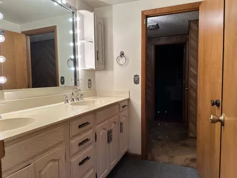 Bath - 20608 Carroll Rd, Morrison, IL 61270 photo 5 of 6