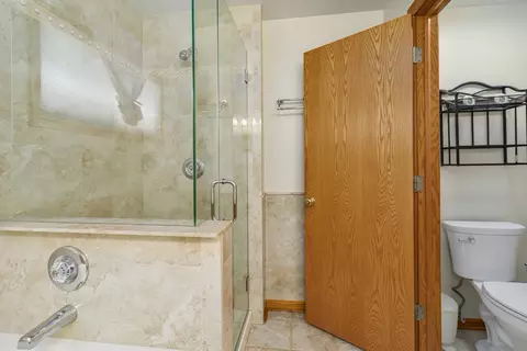 Bath - 5371 Galloway Dr, Hoffman Estates, IL 60192 photo 4 of 8