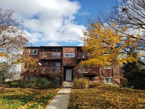 669 Daisy Ln #304, Roselle, IL 60172