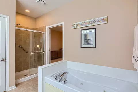 Bath - 2457 Sandy Stream Ln, Elgin, IL 60124 photo 2 of 3