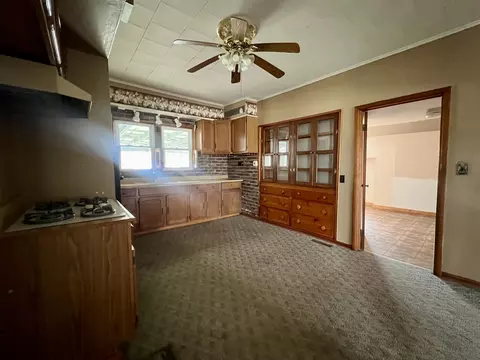 201 N Chicago St, Sidell, IL 61876 photo 14