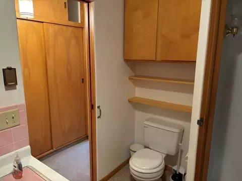 Bath - 420 E 422 E Iroquois St, Sheldon, IL 60966 photo 2 of 4