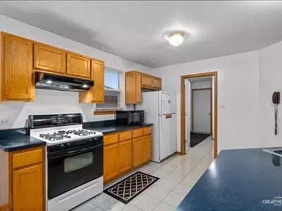 1509 Skylark Ln, Plainfield, IL 60586 photo 7