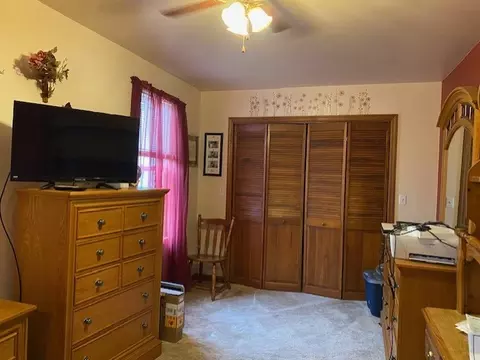 303 Oak St, Cedar Point, IL 61316 photo 5