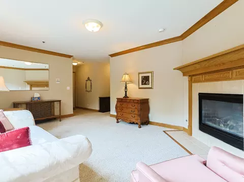 Living - 32 E Hattendorf Ave #2B, Roselle, IL 60172 photo 4 of 4