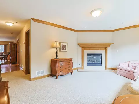Living - 32 E Hattendorf Ave #2B, Roselle, IL 60172 photo 2 of 4