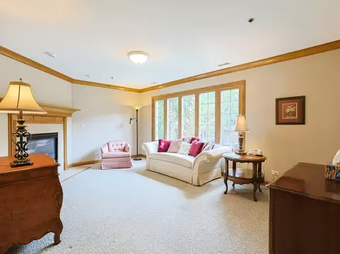 Living - 32 E Hattendorf Ave #2B, Roselle, IL 60172 photo 1 of 4