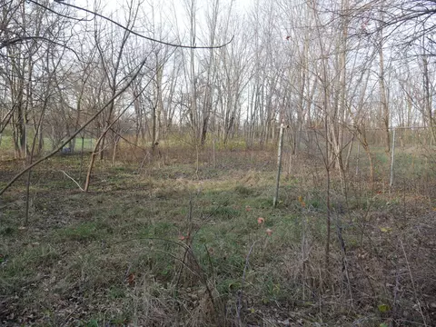 Exterior - 495 W Concord Pl, Sheldon, IL 60966 photo 2 of 12
