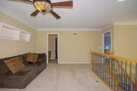 11961 Winterberry Ln, Plainfield, IL 60585 photo 17