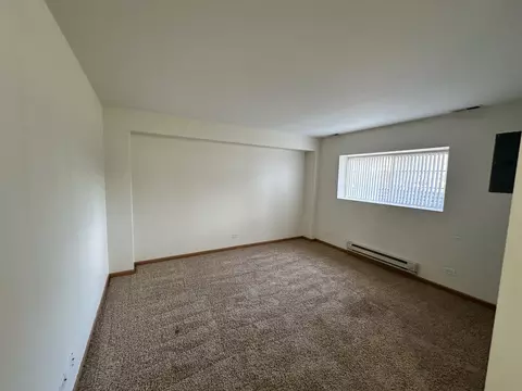 Other - 896 Emerald Dr, Pingree Grove, IL 60140 photo 5 of 5