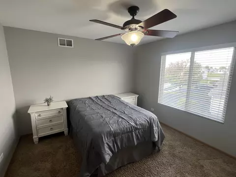 507 Prairie View Dr, Minooka, IL 60447 photo 11