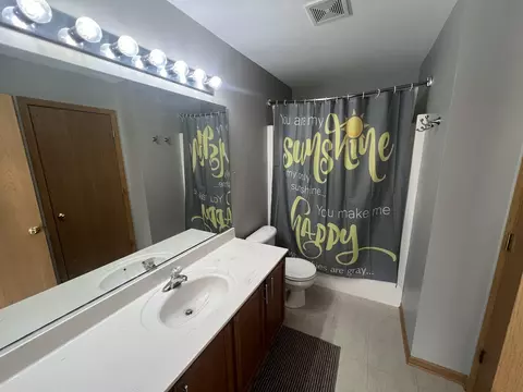 507 Prairie View Dr, Minooka, IL 60447 photo 13