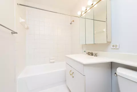 40 E Cedar St #9B, Chicago, IL 60611 photo 7
