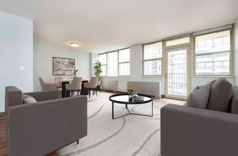 40 E Cedar St #9B, Chicago, IL 60611 photo 3