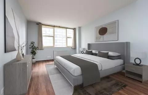 40 E Cedar St #9B, Chicago, IL 60611 photo 6