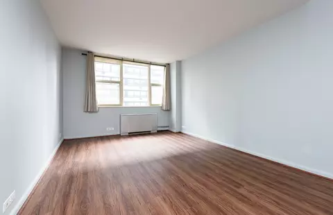 40 E Cedar St #9B, Chicago, IL 60611 photo 5