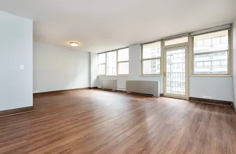 40 E Cedar St #9B, Chicago, IL 60611 photo 2