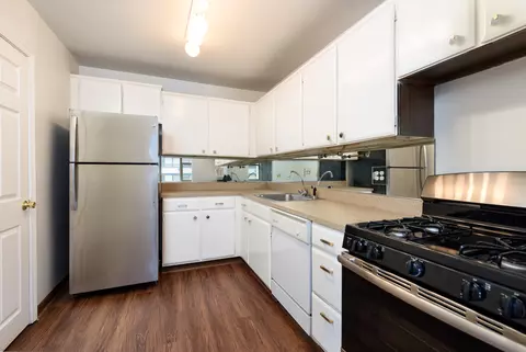 40 E Cedar St #9B, Chicago, IL 60611 photo 4