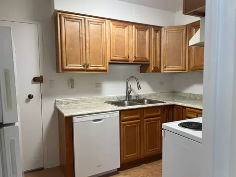 1101 Grove St #6C, Evanston, IL 60201 photo 5