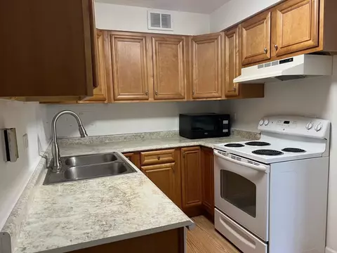 1101 Grove St #6C, Evanston, IL 60201 photo 8