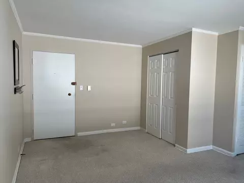 1101 Grove St #6C, Evanston, IL 60201 photo 2