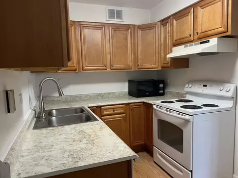 1101 Grove St #6C, Evanston, IL 60201 photo 6