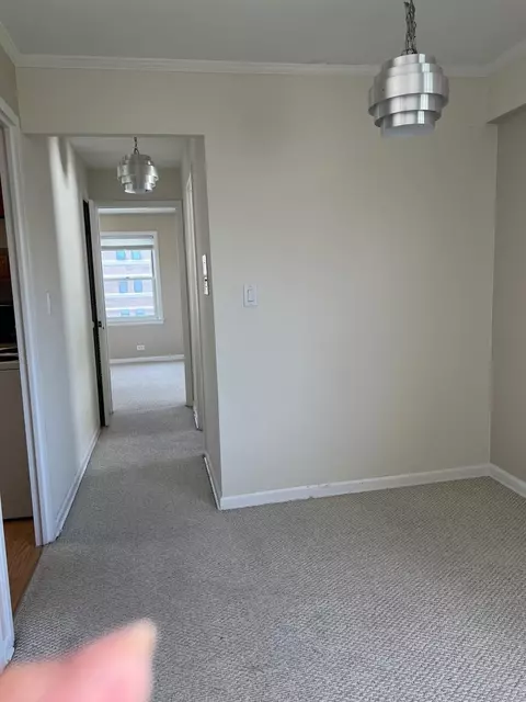 1101 Grove St #6C, Evanston, IL 60201 photo 4