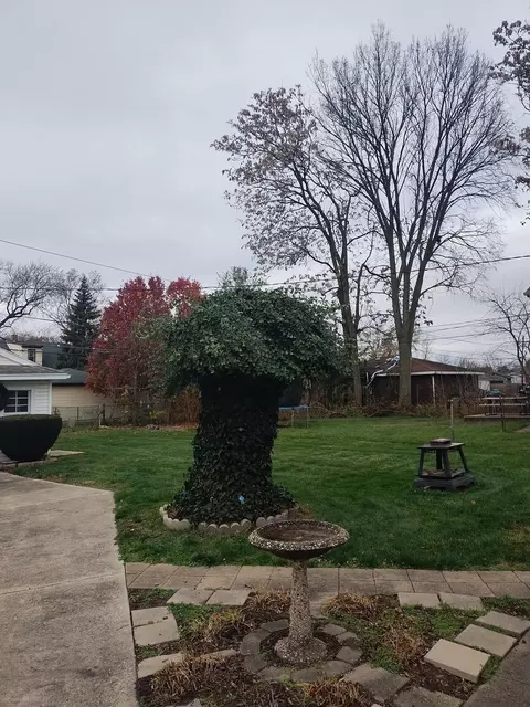 Exterior - 14810 Keystone Ave, Midlothian, IL 60445 photo 5 of 6