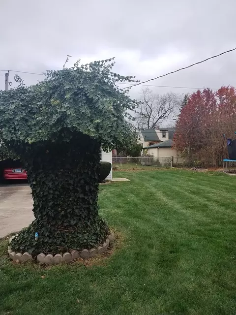 Exterior - 14810 Keystone Ave, Midlothian, IL 60445 photo 6 of 6