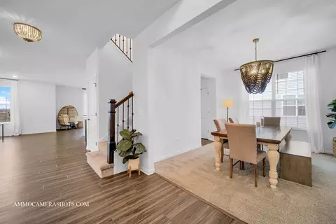 Entry Way - 3617 Edelweiss Rd, Elgin, IL 60124 photo 2 of 5