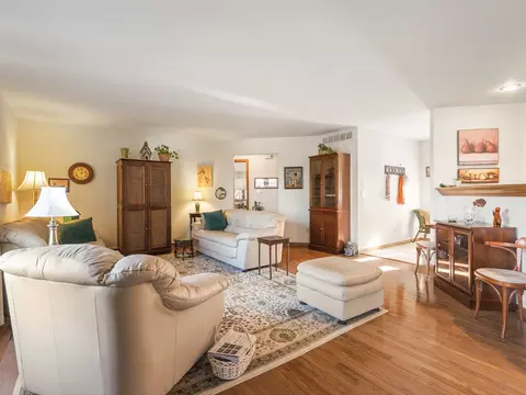 Living - 137 Lake Summerset Rd, Davis, IL 61019 photo 3 of 7