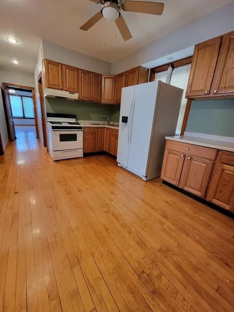 3017 N Gresham Ave, Chicago, IL 60618 photo 11