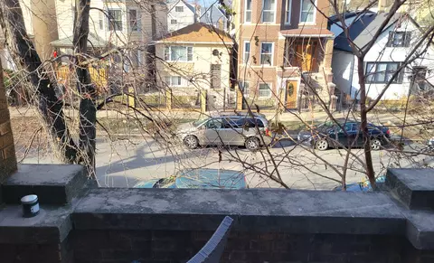 3017 N Gresham Ave, Chicago, IL 60618 photo 29