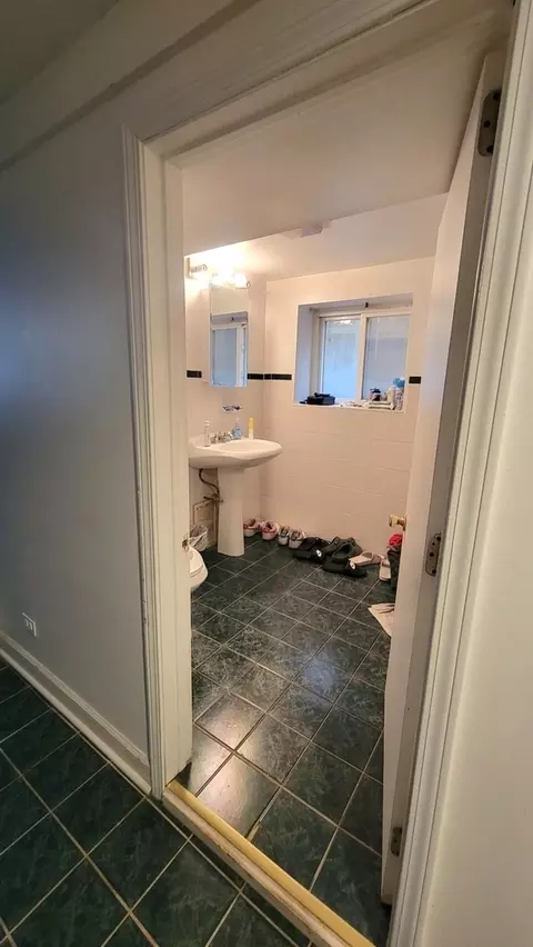 3017 N Gresham Ave, Chicago, IL 60618 photo 46